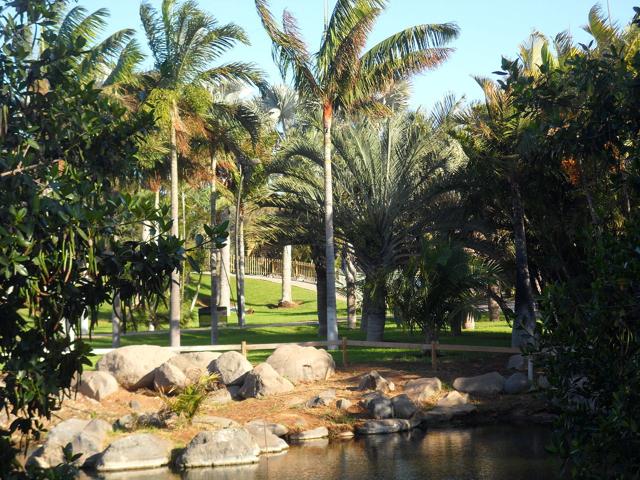 Palmetum of Santa Cruz de Tenerife